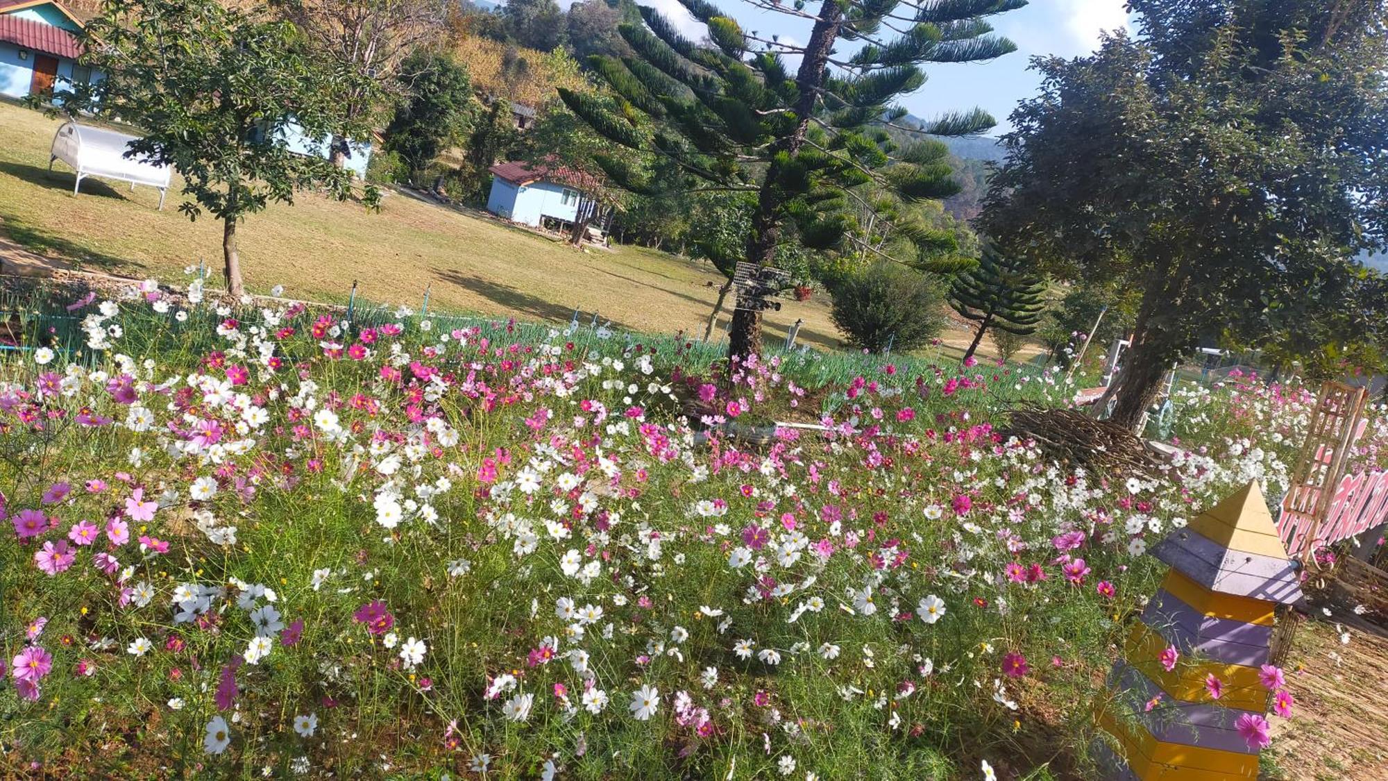 Mong Homestay Resort Pang Ung Εξωτερικό φωτογραφία