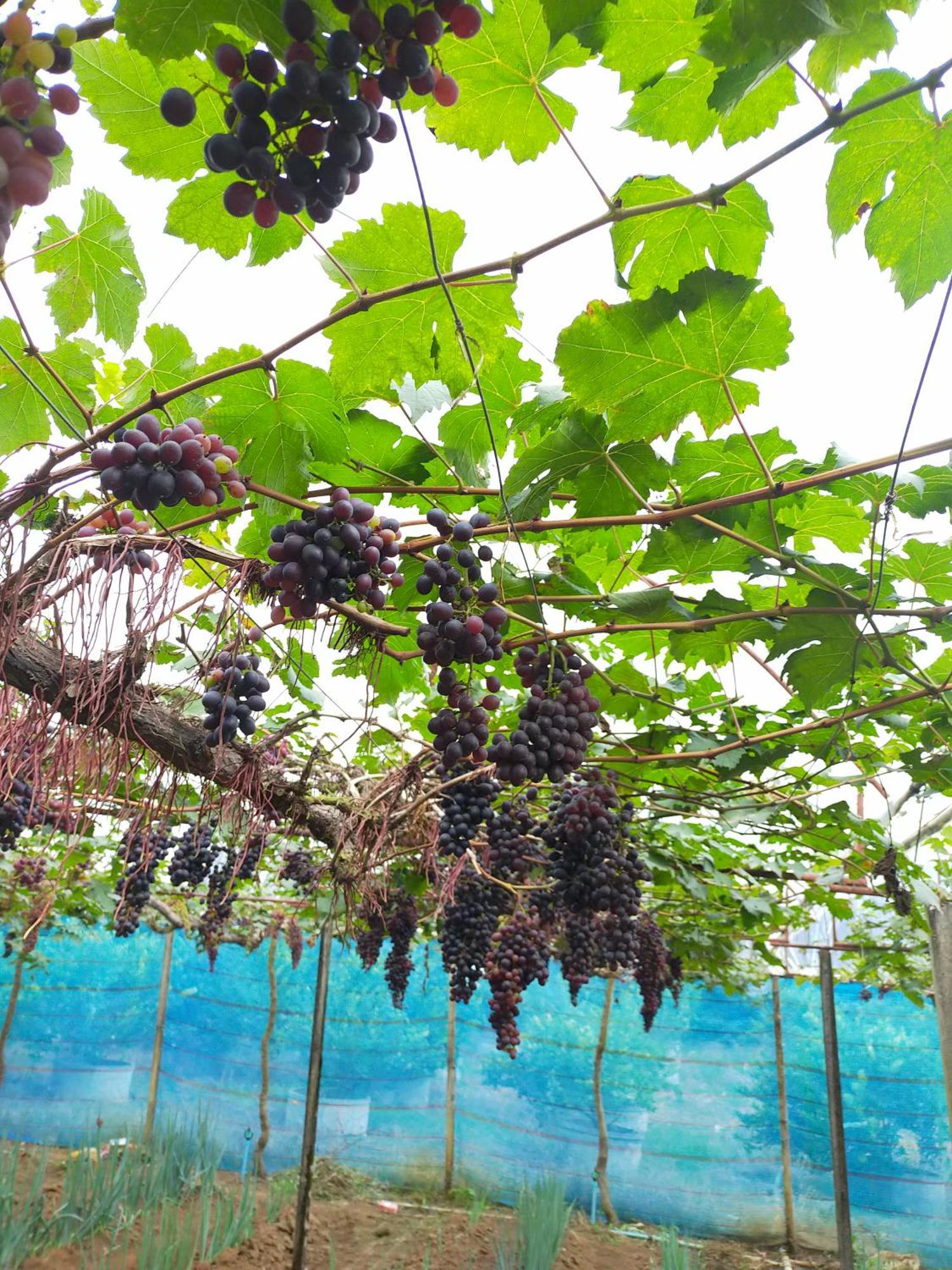 Mong Homestay Resort Pang Ung Εξωτερικό φωτογραφία