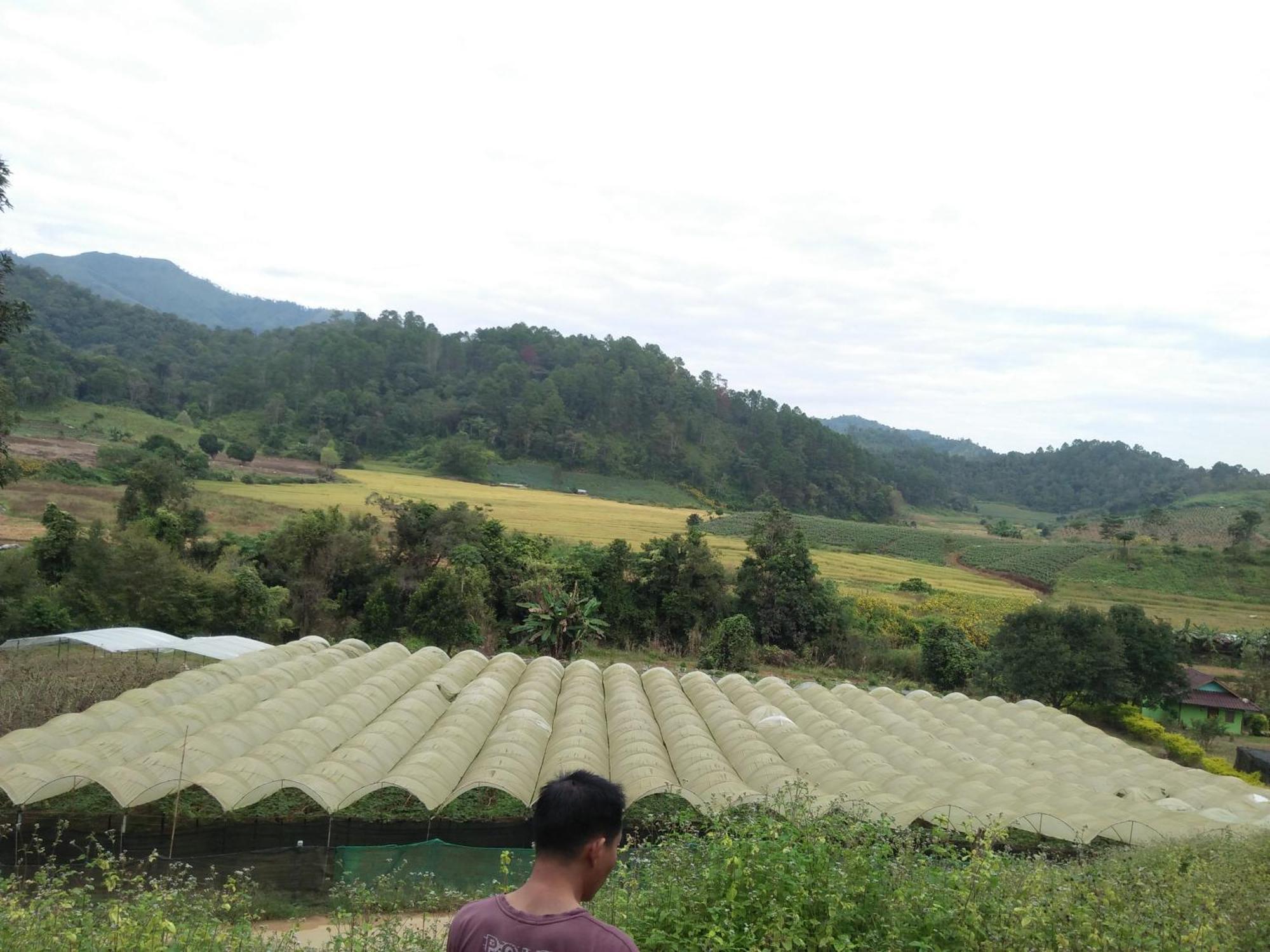 Mong Homestay Resort Pang Ung Εξωτερικό φωτογραφία